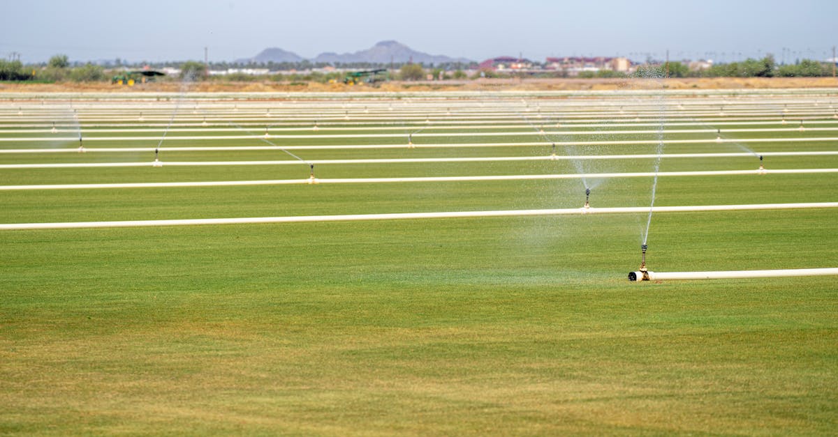 expansive farmland with automatic irrigation sprinklers watering green fields