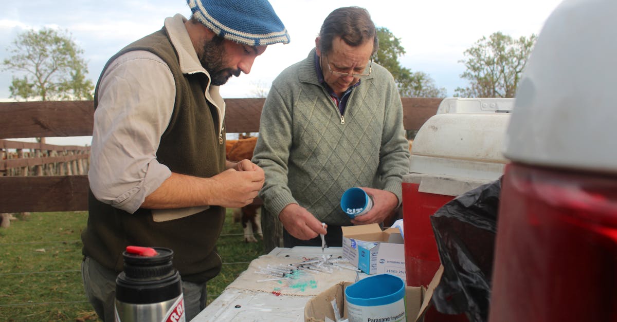 farmers preparing veterinary medicines outdoors on a rural farm setting