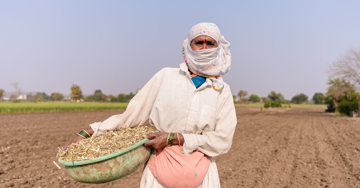 female farmer standing in an open field in nagpur india carrying harvested crops 1