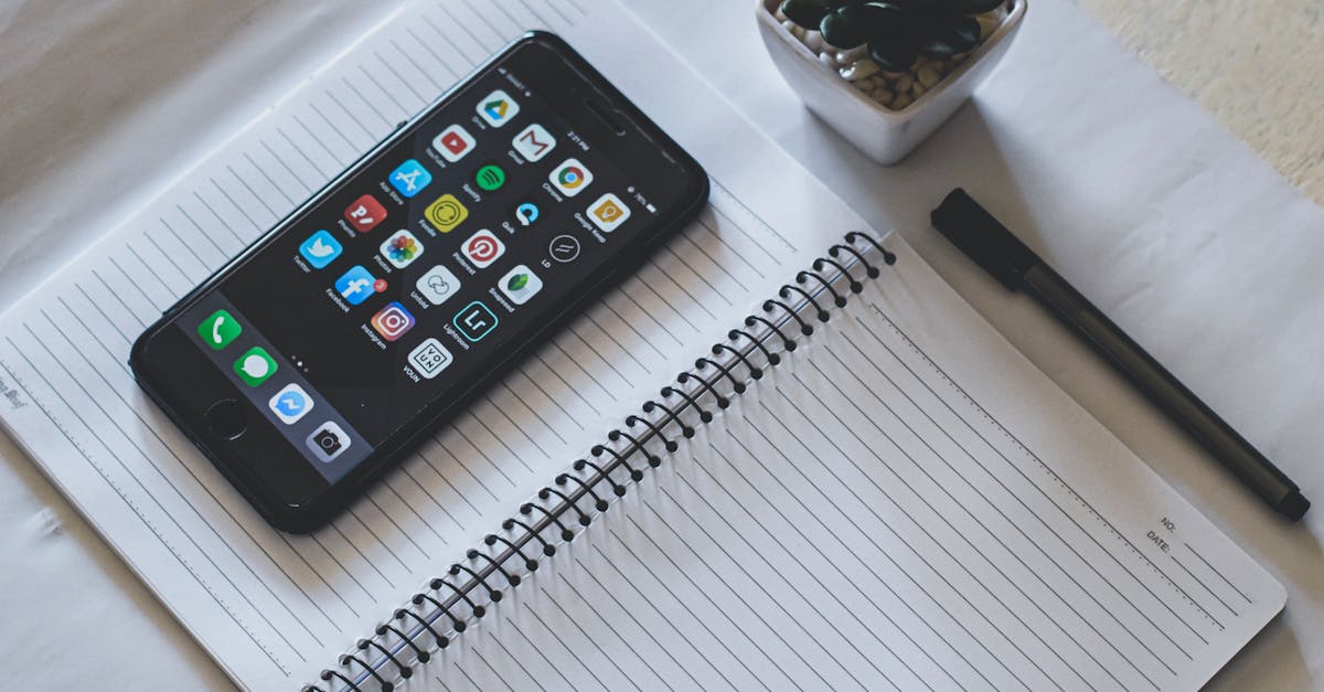 flat lay featuring a smartphone on a spiral notebook beside a succulent plant and pen