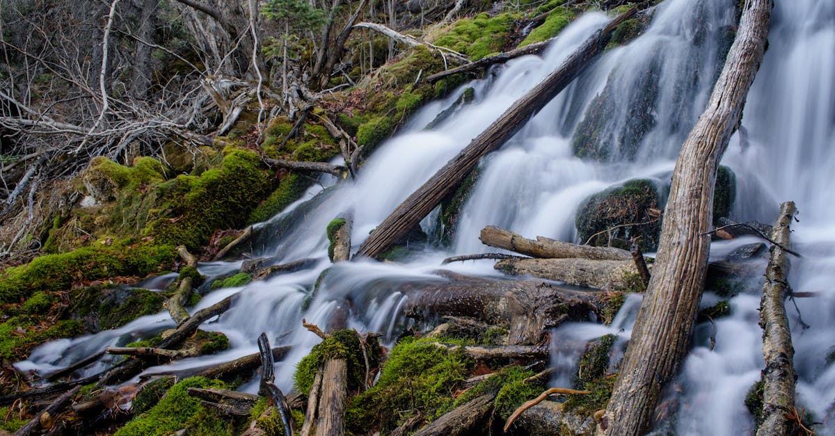 free stock photo of 2017 alberta canada