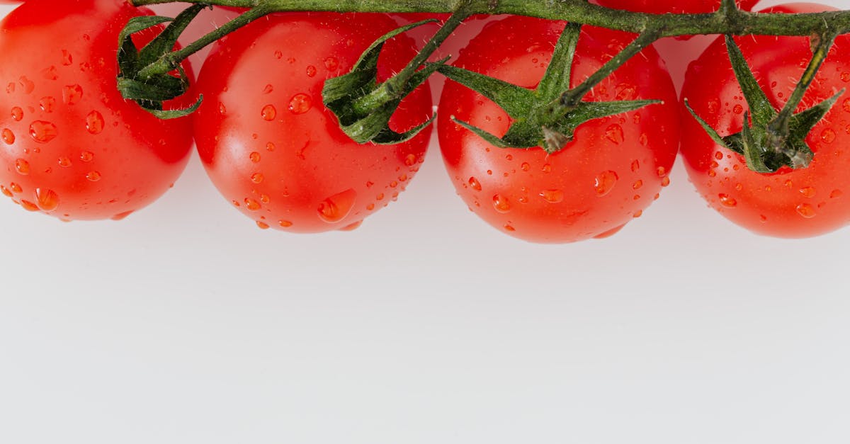 fresh and vibrant cherry tomatoes with water droplets on a white background