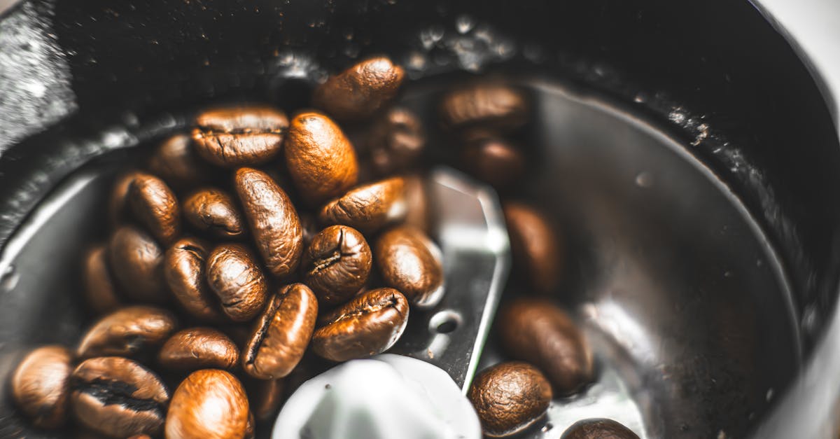 fresh coffee beans in a grinder ready for brewing a delicious cup of coffee 1