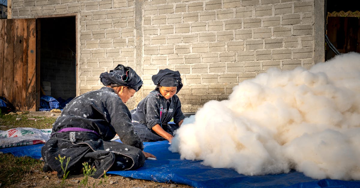 full body focused hardworking asian female farmworkers in dirty uniforms sorting collected cotton an