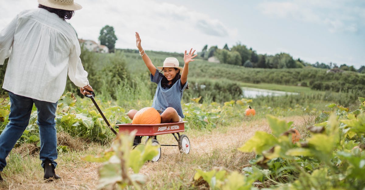 full body of cheerful young girl in cart with pumpkin enjoying time with mother in countryside