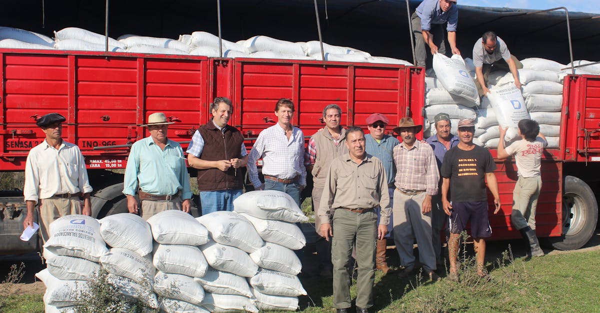 group of farmers loading sacks onto a red truck in the countryside