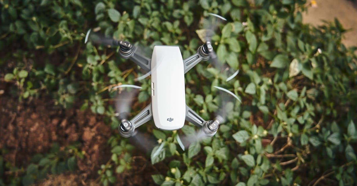 high angle shot of a white drone flying over lush green foliage outdoors