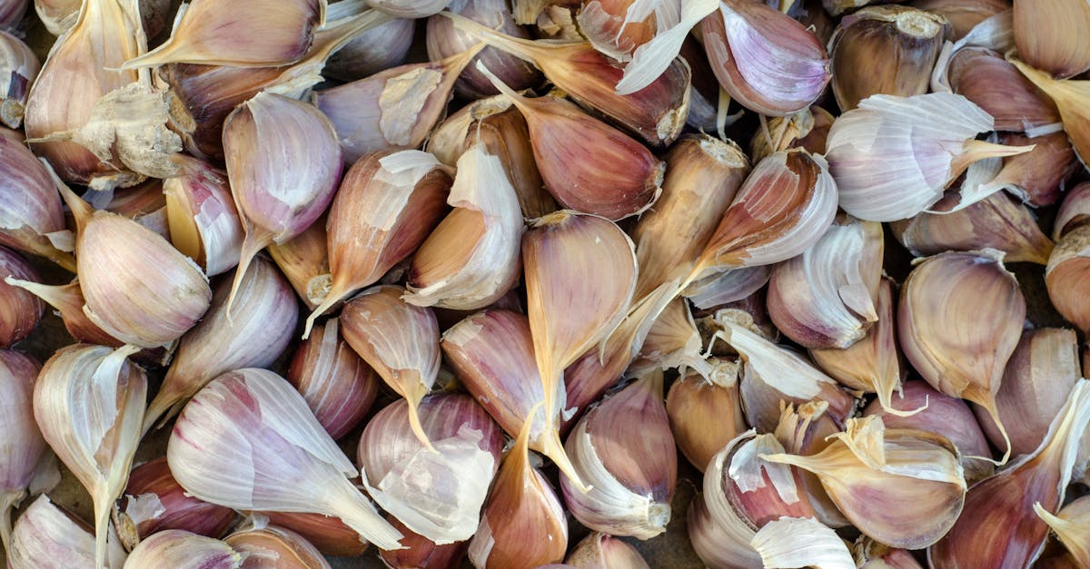 high resolution image of fresh garlic cloves ideal for cooking and food photography