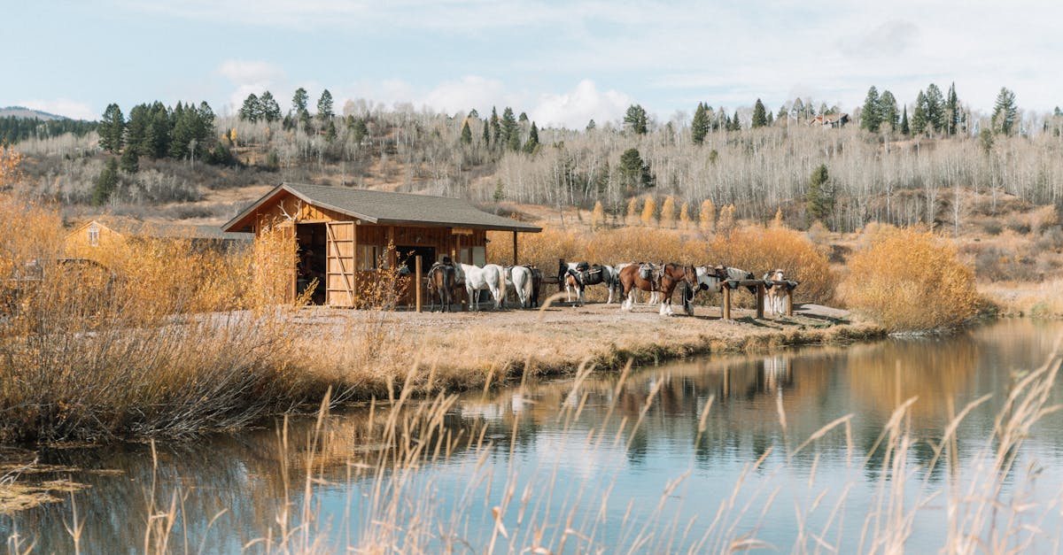 idyllic fall scene with horses near a rustic hut by a lake