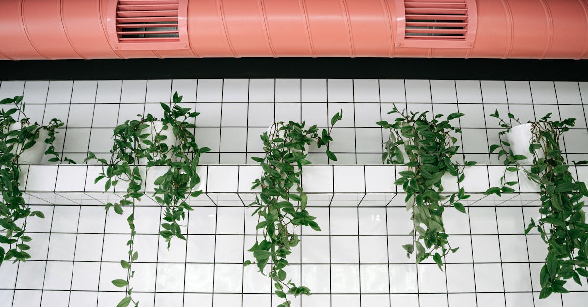 indoor scene with green plants against tiled walls and pink ventilation pipe