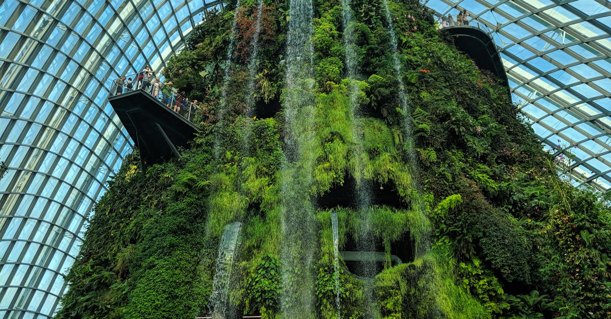 lush indoor waterfall at singapore s gardens by the bay s cloud forest a premier tourist attraction