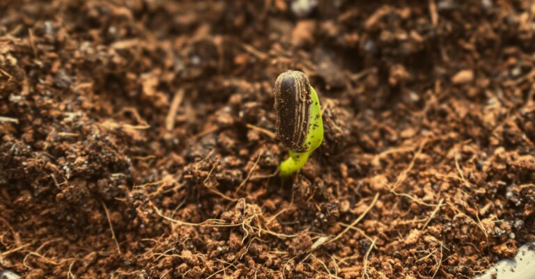 12 Smart Ways to Maximize Composting Space in Small Gardens That Old-Timers Swear By