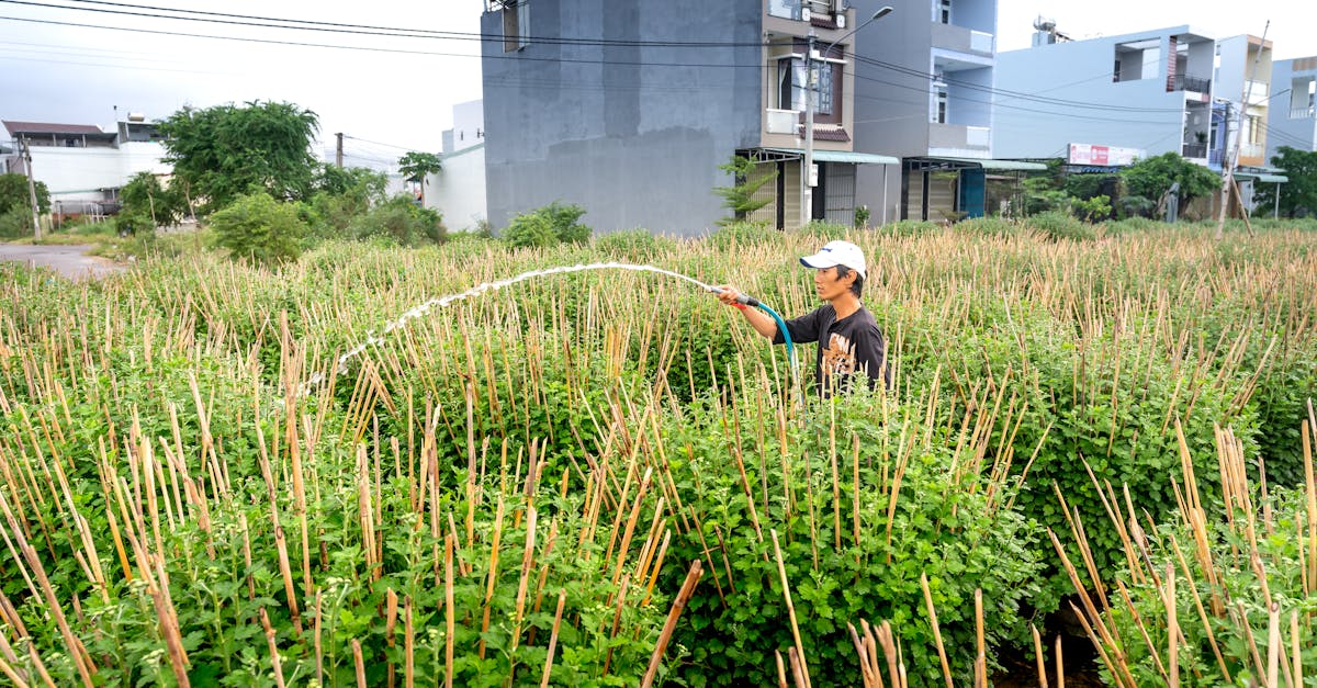 man watering plants in an urban farm surrounded by modern buildings