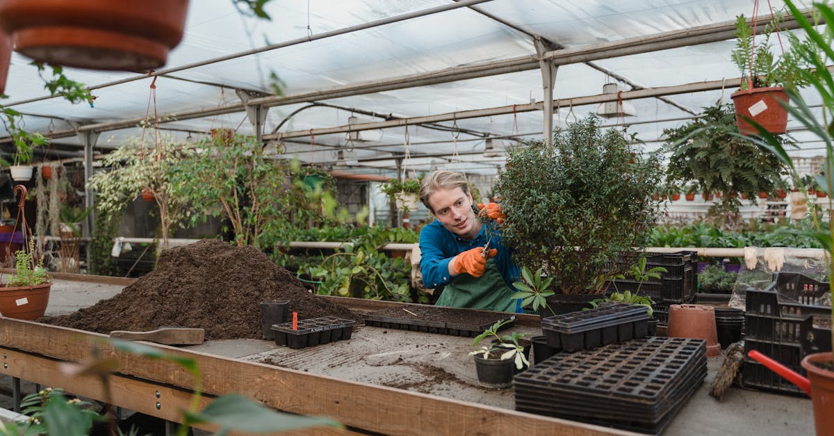 man working in an indoor greenhouse environment tending to plants with gardening tools 1