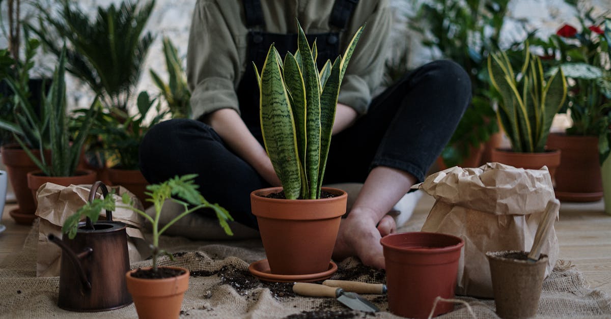 person sitting indoors surrounded by potted plants and gardening tools fostering nature