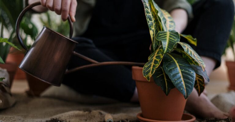 10 Best Hand Trowels for Planting That Support First-Year Success