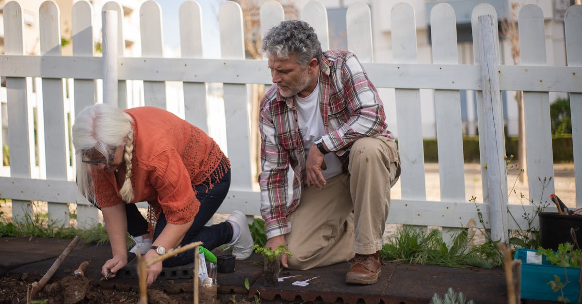 senior couple planting vegetables in a garden enjoying outdoor horticulture together