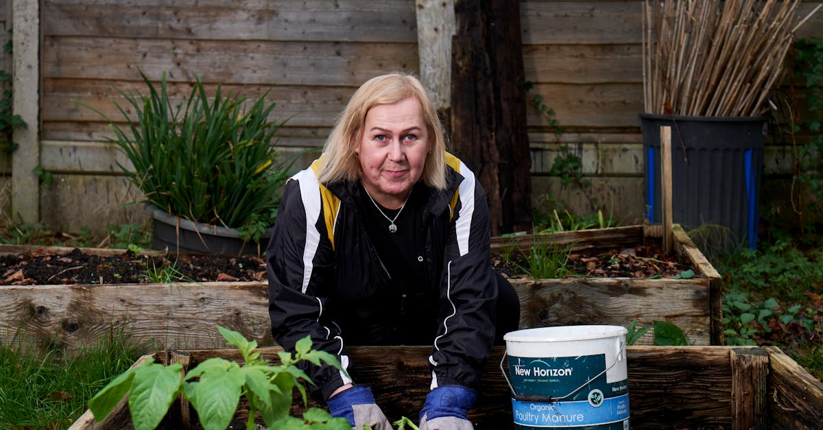 senior woman gardening in a manchester backyard with raised beds and plants