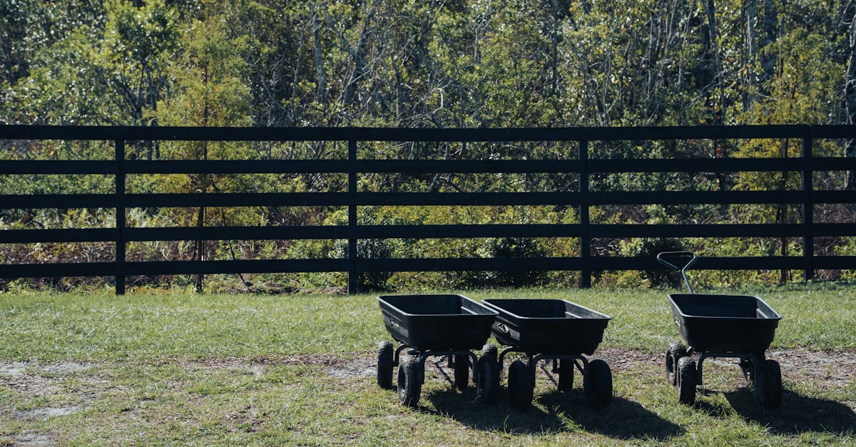 serene rural landscape featuring three garden carts by a wooden fence surrounded by trees