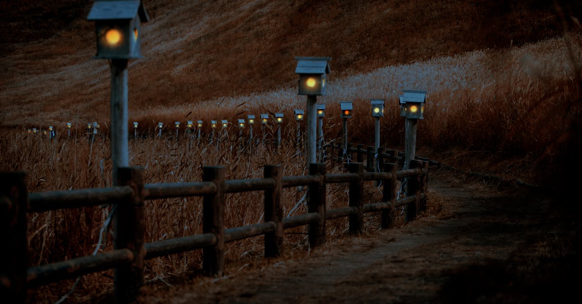 serene rural path with lit fence at dusk creating a tranquil atmosphere