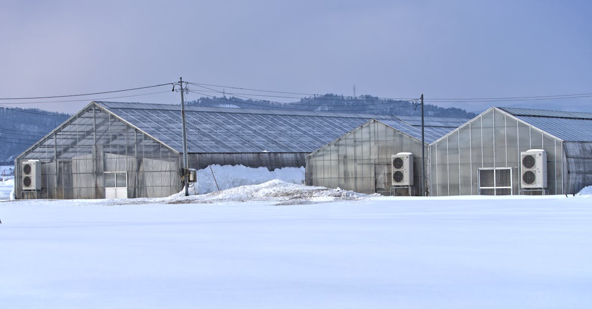 serene winter scene with snow covered greenhouses against a blue sky perfect for agricultural theme