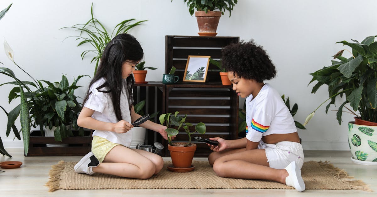 side view of multiethnic kind girls with magnifier and pruning shear growing green potted plant whil