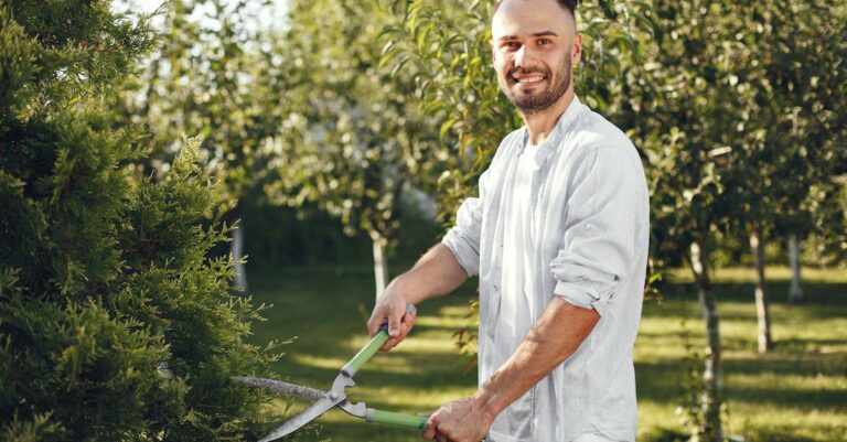 10 Best Garden Scissors for Precise Trimming That Every Gardener Needs