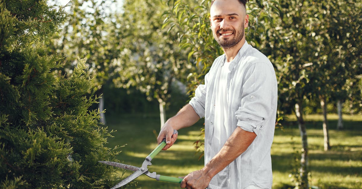 smiling man using pruning shears in a sunny orchard garden creating a natural and peaceful scene