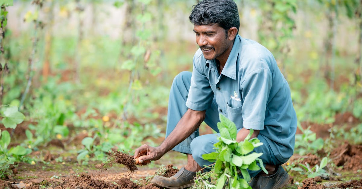 smiling south asian man gardening in a lush indian field pulling weeds from soil 1