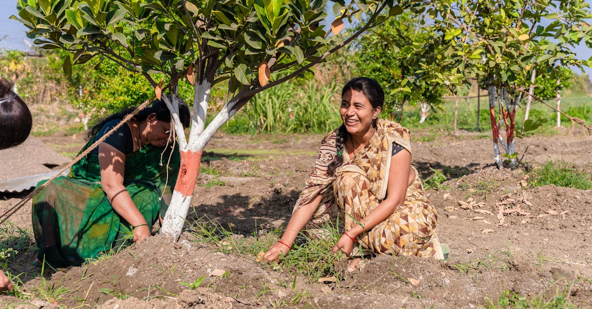 smiling women farmers working on a sunny day in nagpur promoting rural agriculture