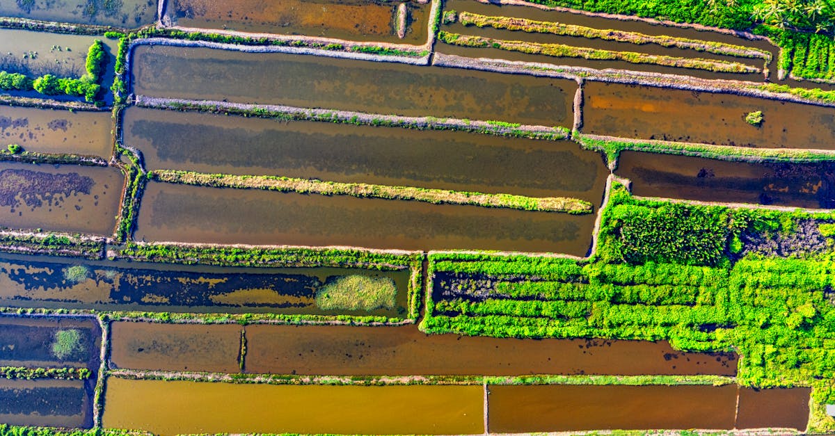 stunning aerial shot of rural farmland and greenery in banten indonesia 1