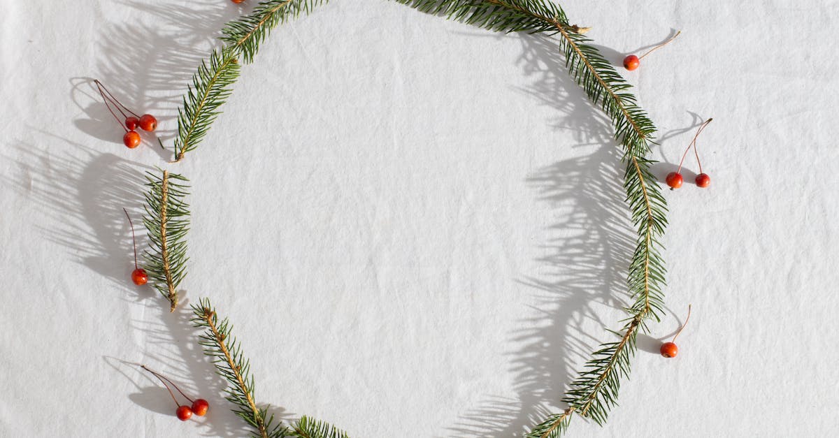 top view of fresh coniferous branches with red holly berries placed in round on white fabric