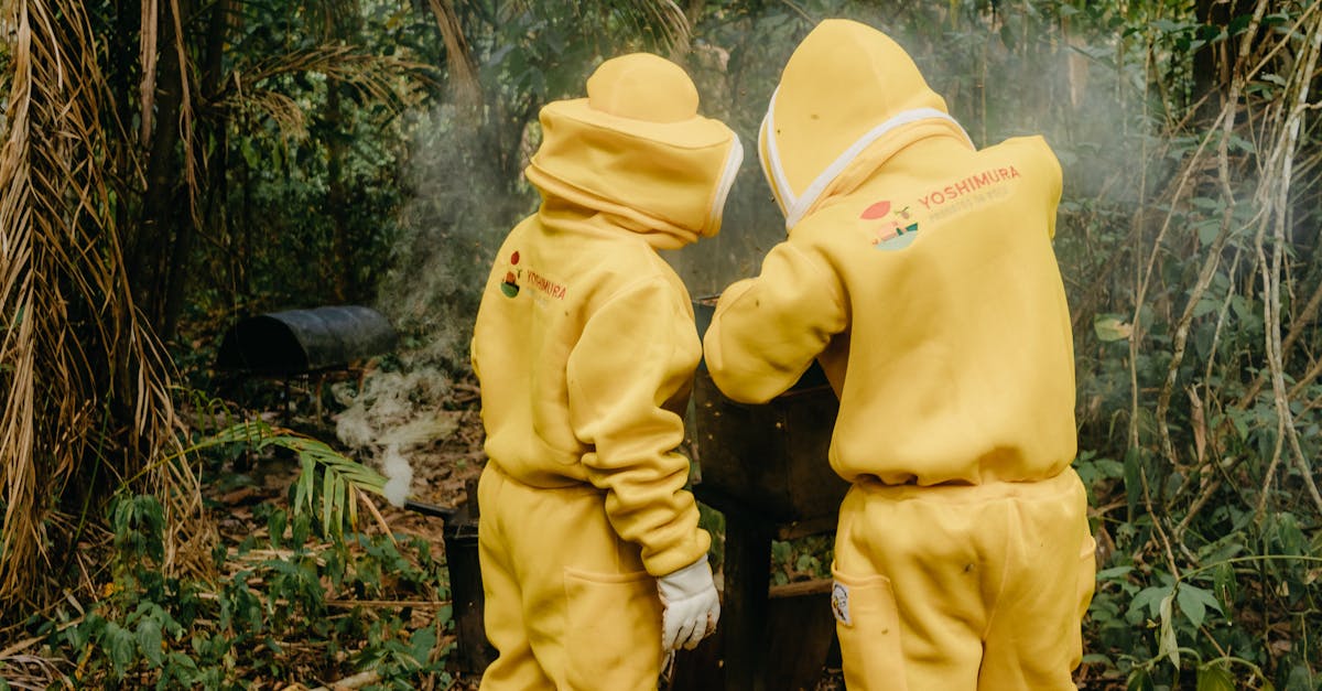 two beekeepers in protective yellow suits inspecting a beehive surrounded by smoke in a forest setti