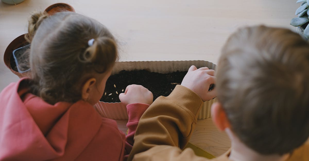 two children carefully planting seeds in soil indoors focusing on gardening education