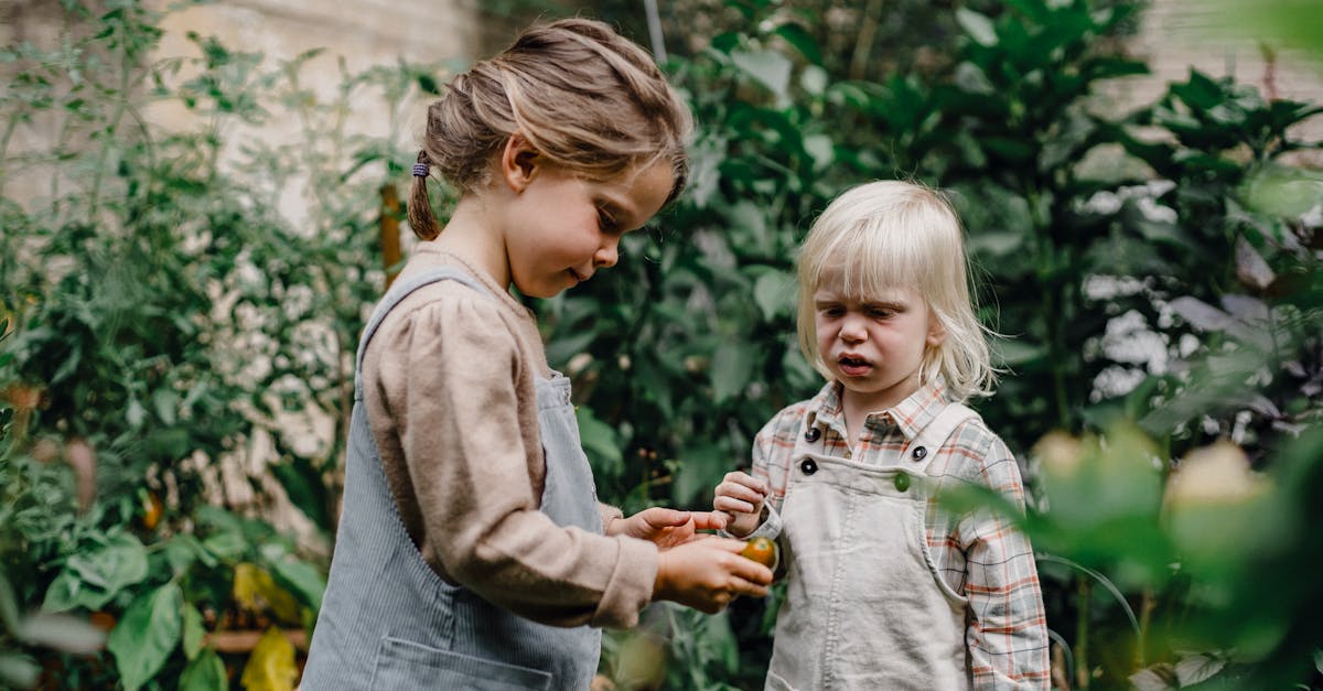 two children exploring a lush garden showcasing nature and childhood curiosity