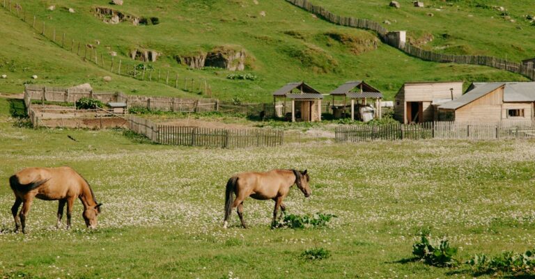 10 Best Livestock Fences for Keeping Animals Safe That Every Farmer Trusts