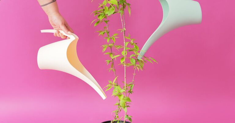 12 Best Garden Watering Cans for Container Plants That Prevent Common Issues