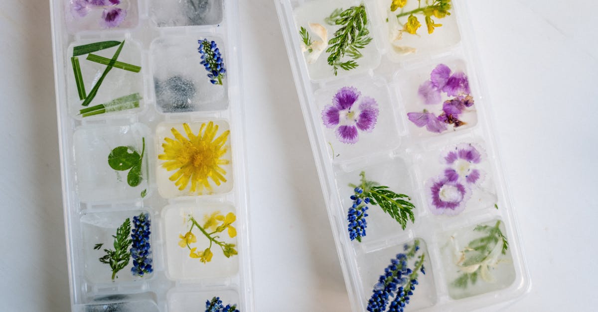 unique floral ice cubes in plastic trays showcasing nature inspired frozen designs