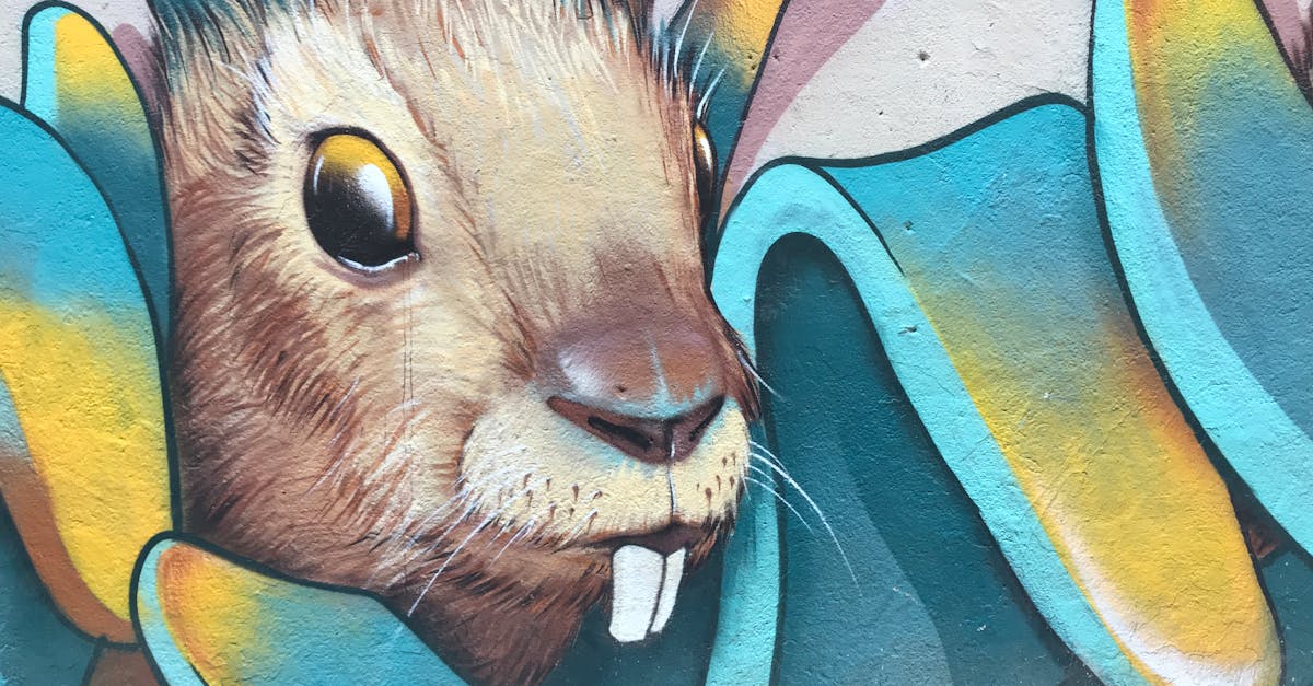 vivid rabbit mural showcasing vibrant street art creativity outdoors