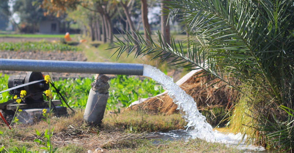 water from irrigation pipe flowing in a lush rural field in mehmood kot punjab pakistan 1