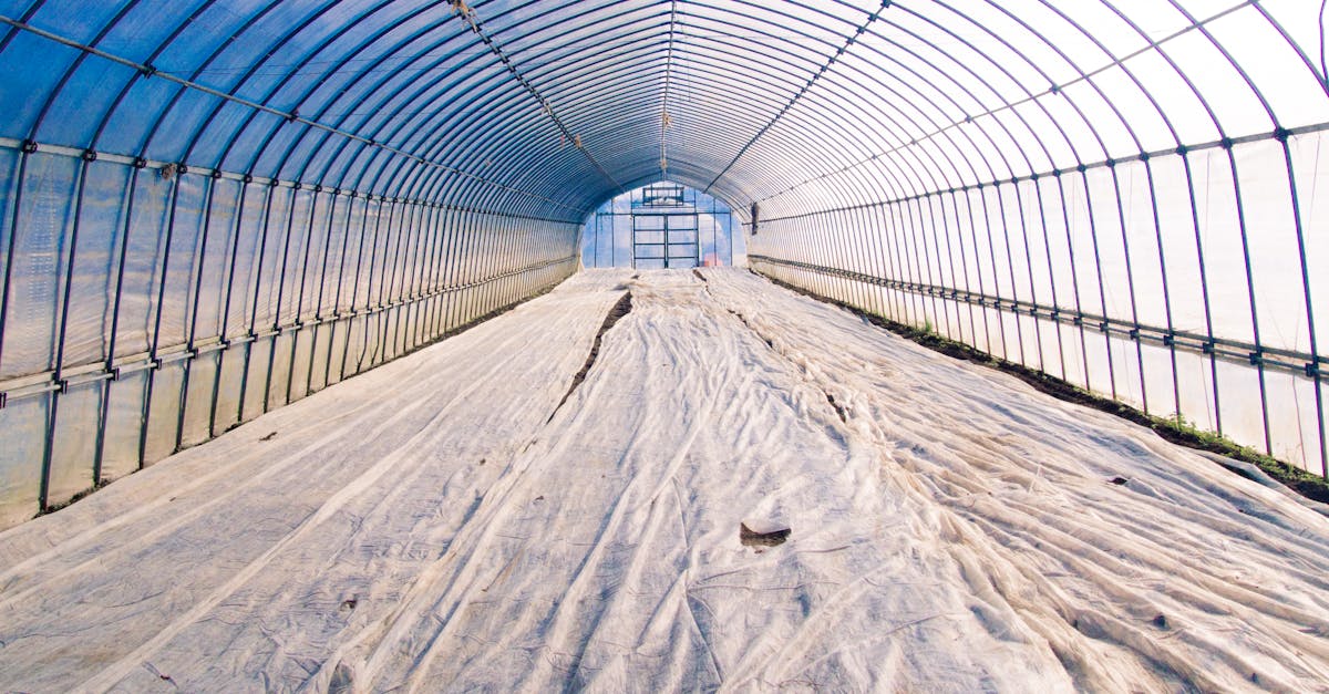 wide angle view of an empty greenhouse tunnel with protective covering