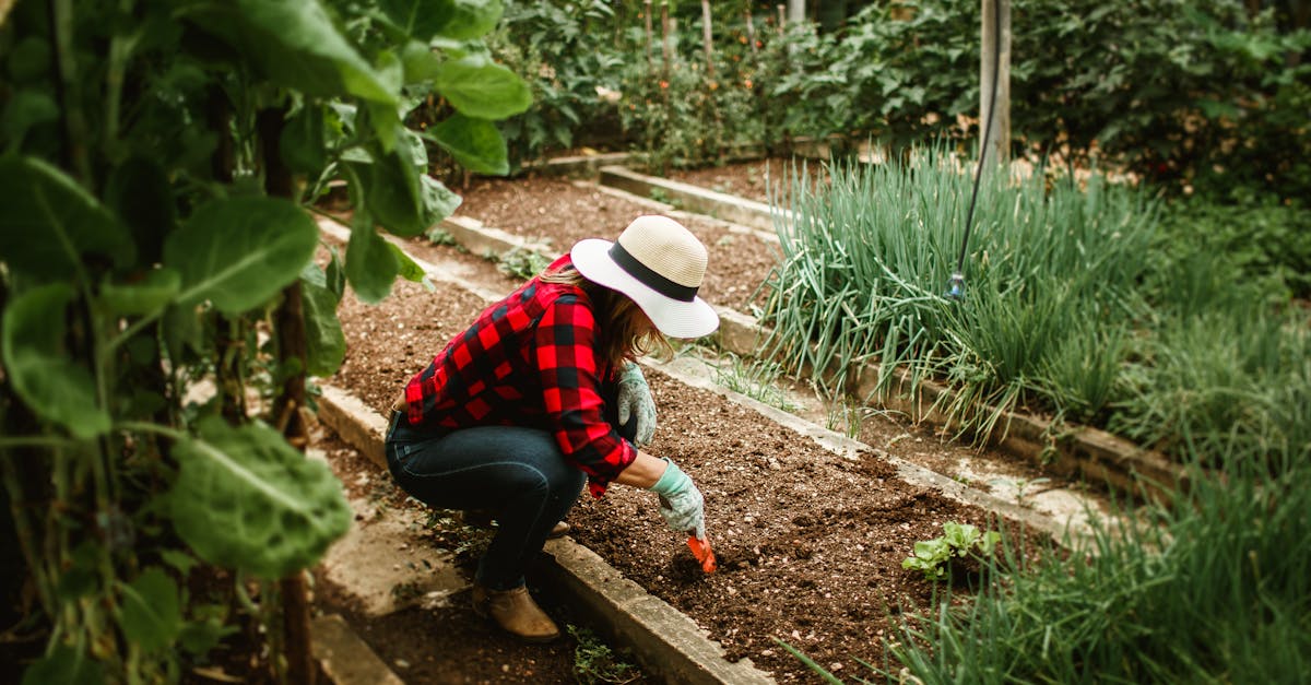 woman in a hat tending to a vegetable garden surrounded by lush plants showcasing outdoor gardenin