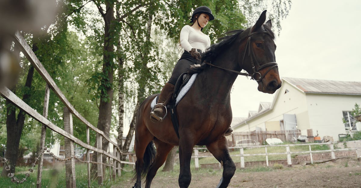 woman riding a horse in a rural setting enjoying outdoor leisure activities