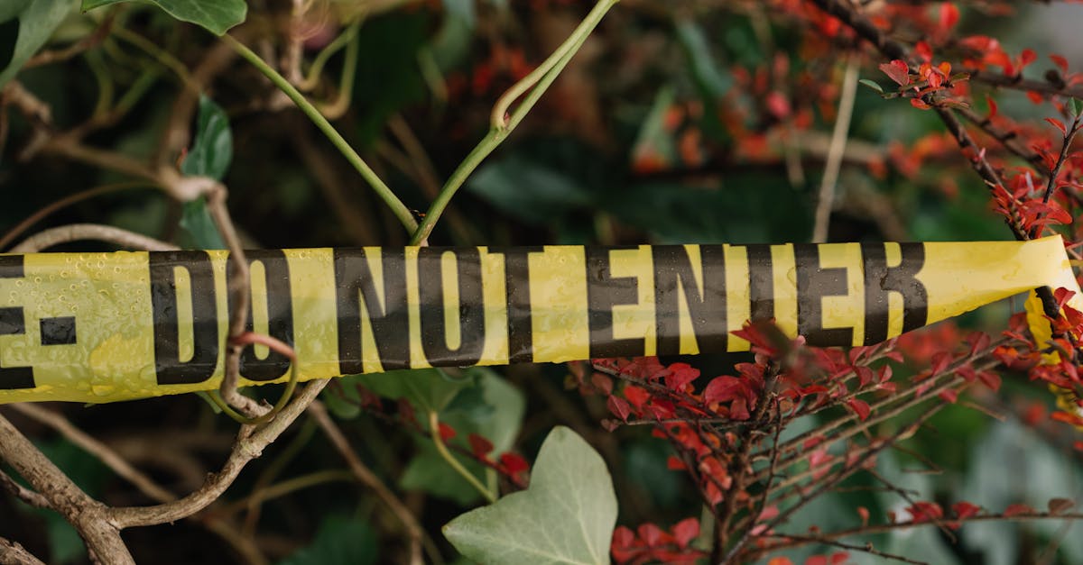 yellow caution tape stretches across vibrant foliage in an outdoor setting