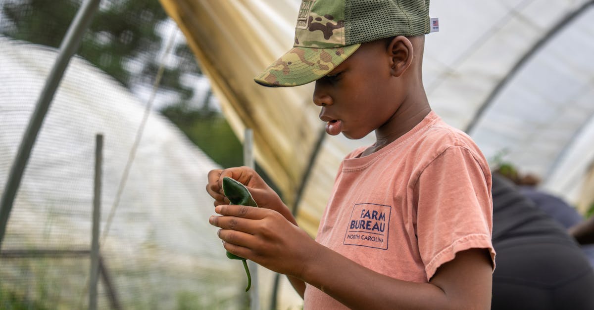 young boy examines plant inside a greenhouse showcasing agricultural learning