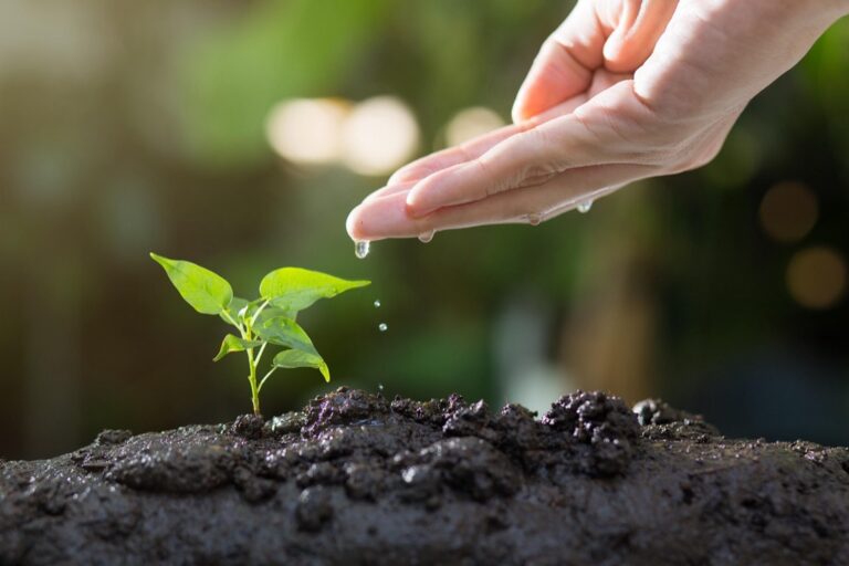 7 Best Gardening Worksheets for Soil Management Planning That Prevent Problems