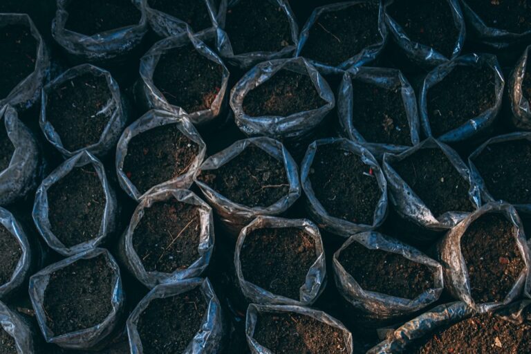 5 Best Soil Texture Tests for Hobby Farmers That Gardeners Swear By