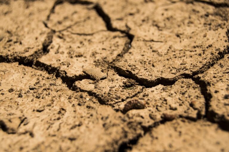 5 Best Drainage Fabrics for Preventing Soil Erosion That Professionals Trust