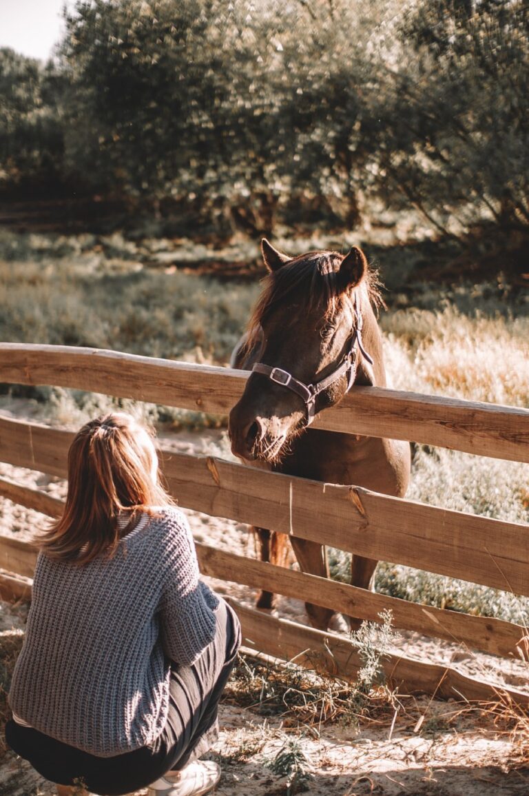 7 Fencing Regulations to Know for Hobby Farms That Prevent Legal Headaches
