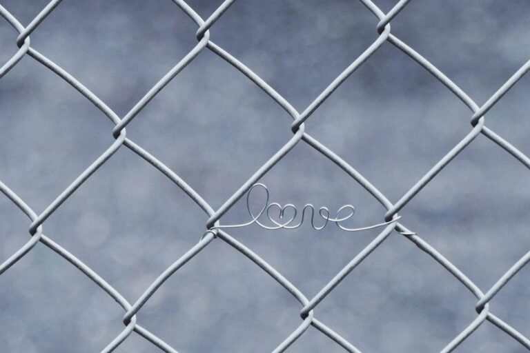 5 Best Wire Mesh Products for Securing Chicken Runs That Predators Can’t Breach